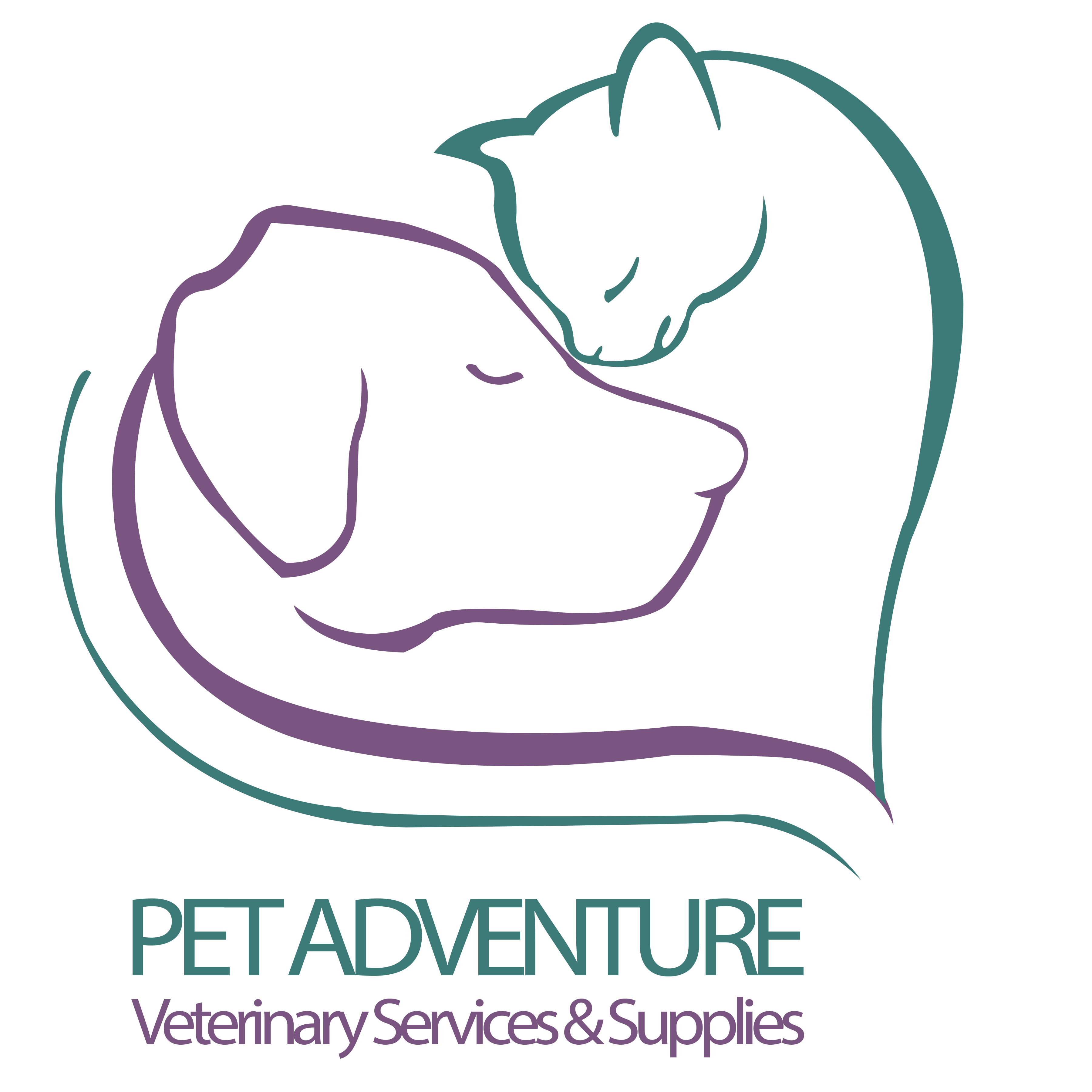 PetAdventure